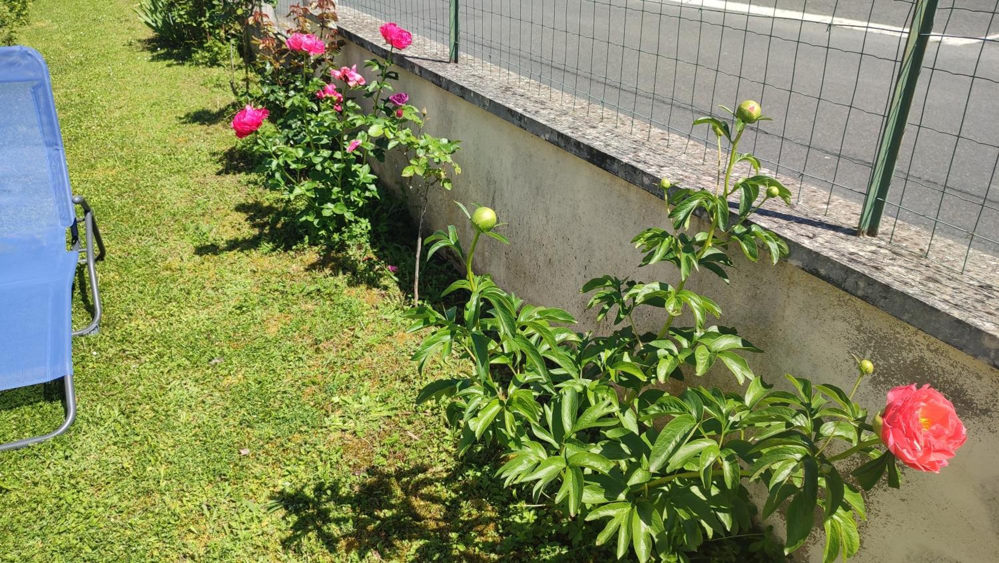 Maison Plain Pied, 2 Chambres, Longere Typique , Fraiche, Dans Bourg Avec Tous Commerces Lucay-le-Male Ngoại thất bức ảnh